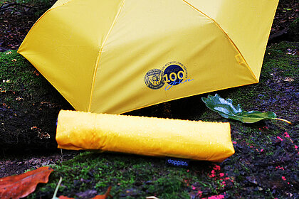 Mini-Taschenschirm, 100 Jahre SI